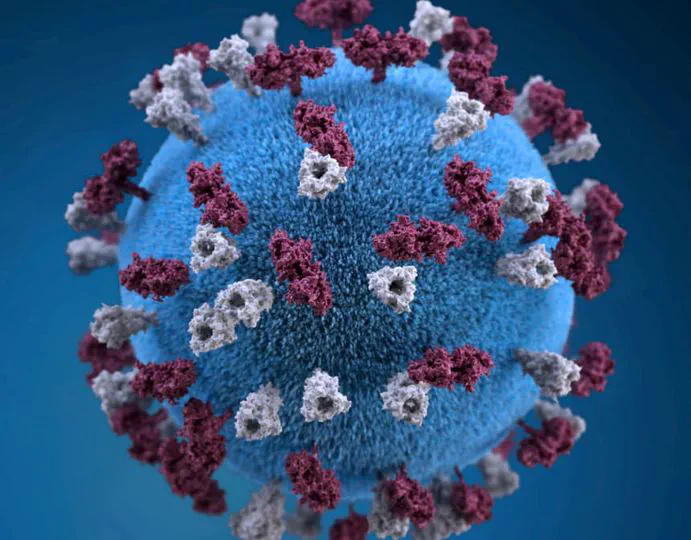 Measles outbreak in Vaud, Switzerland, January to March 2024